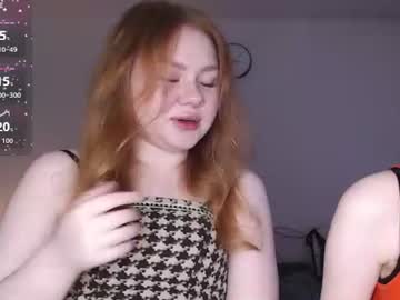 koshechka sobac