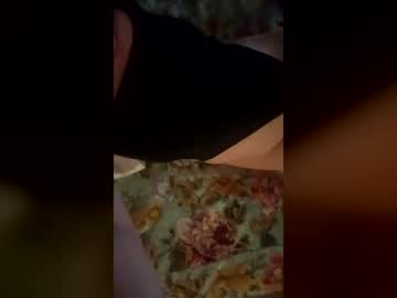 shortytray